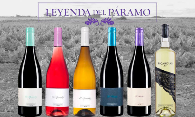 Leyenda del Páramo: vinos legendarios, autóctonos y felices